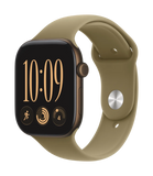 Apple Watch Series 12