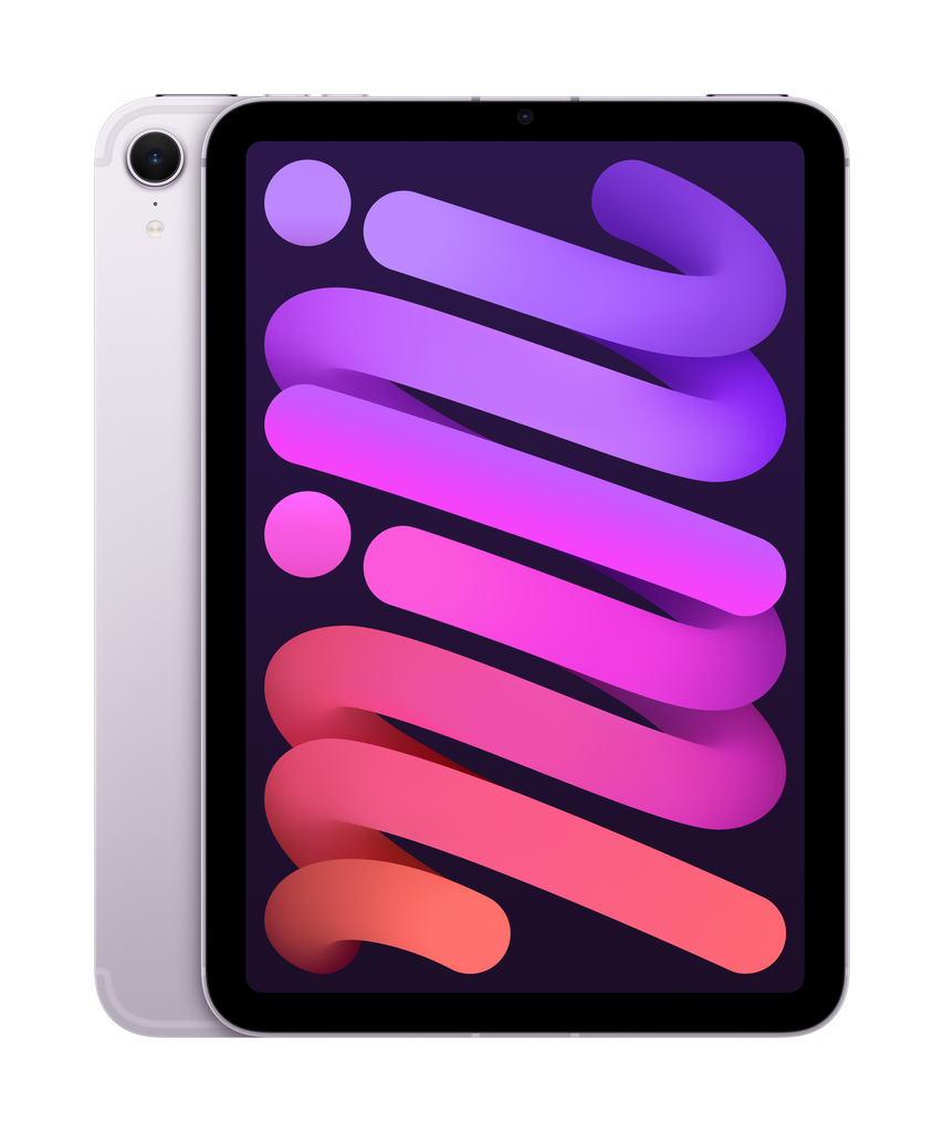 iPad mini